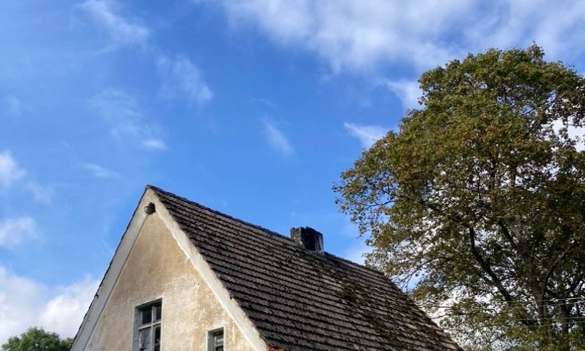 Para odnawia 100-letni dom. "Już zgubiliśmy się w rachunkach"