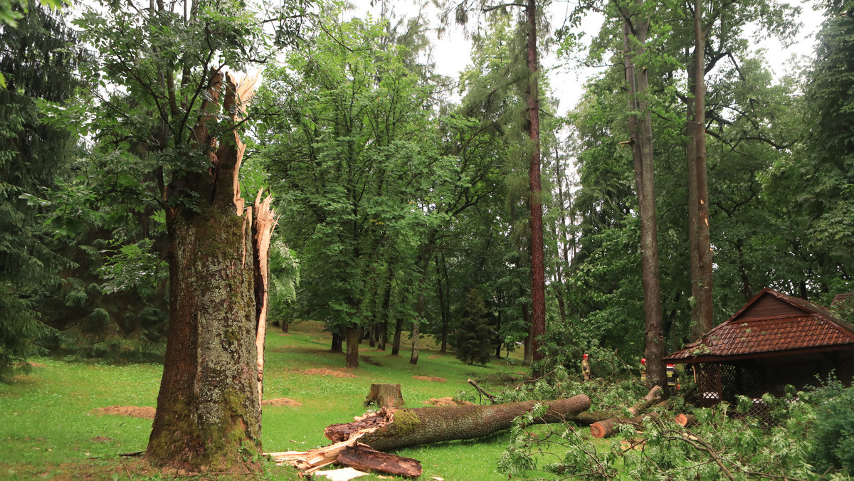 Rabka-Zdrój. Nawałnica zniszczyła Park Zdrojowy