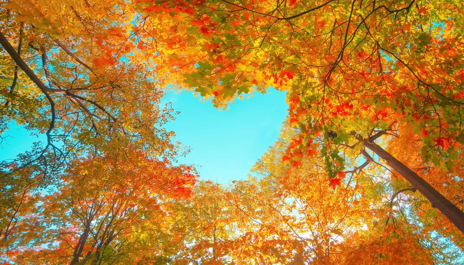 Újabb nyár az őszben - fotó: Shutterstock