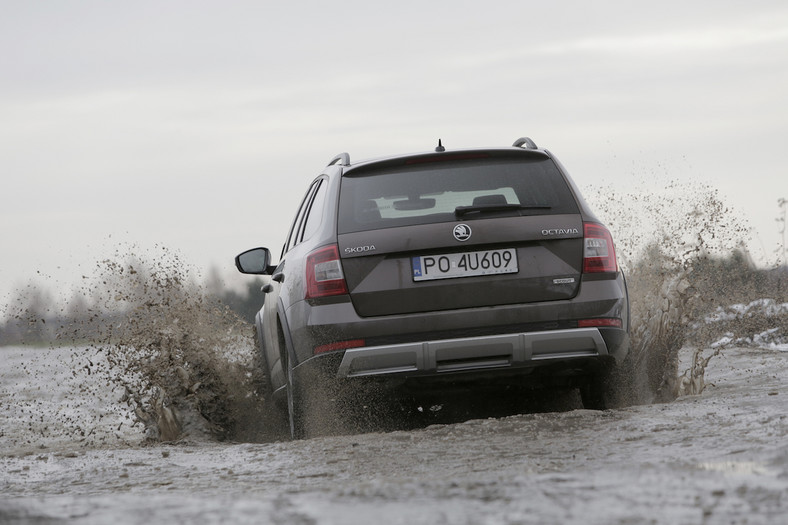 Skoda Octavia Scout 1.6 TDI 4x4