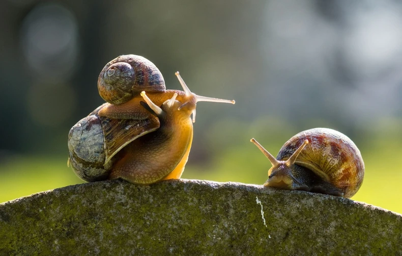 A ni tata nije bio štedljiv na poljupcima