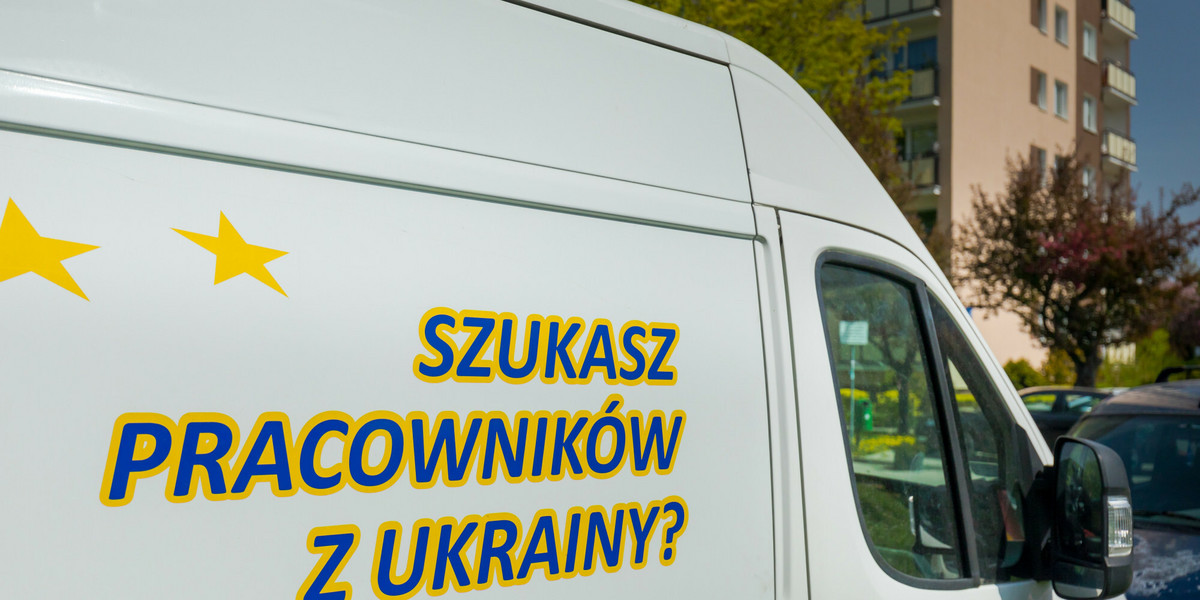 Niemal co czwarta firma w Polsce zamierza rekrutować Ukraińców w ciągu najbliższych 12 miesięcy.