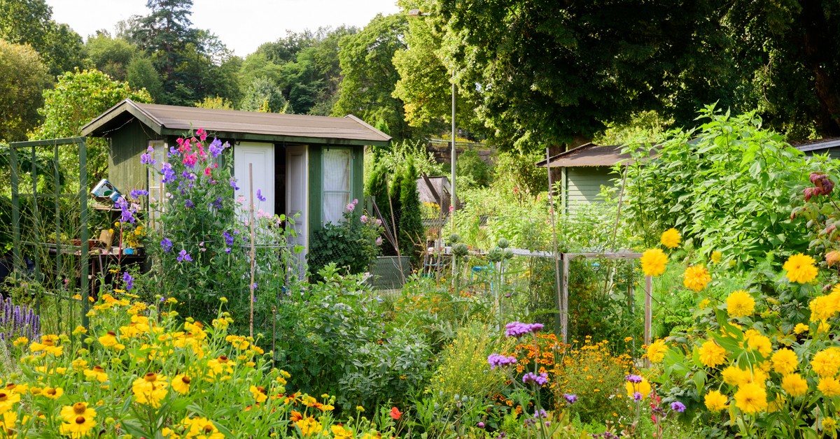 Działkowcy odetchną z ulgą. Ogrody ROD wyłączone ze specustawy o inwestycjach obronnych