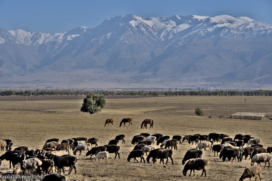 Kazachstan, październik 2021