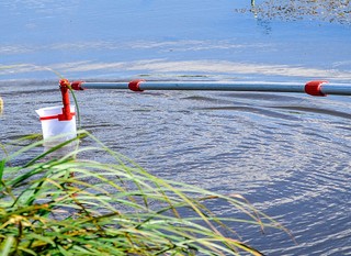 Choroba Zalewu Wiślanego? Po spożyciu ryb trafili do szpitala. GIS wydał komunikat