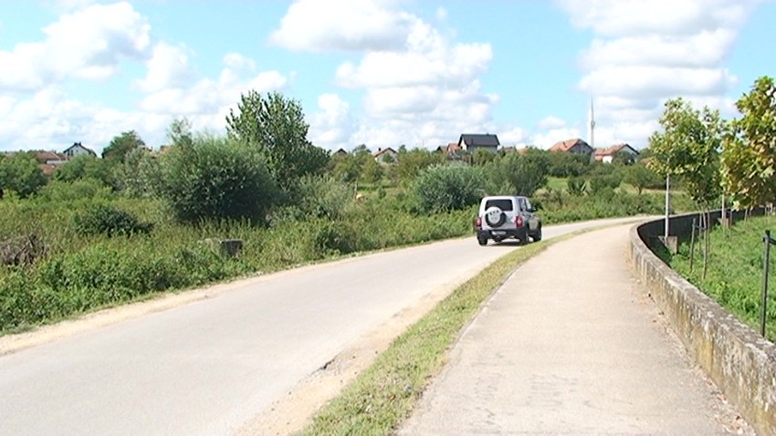 Putevi obrasli ambrozijom 