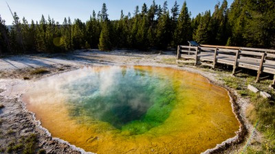 Yellowstone