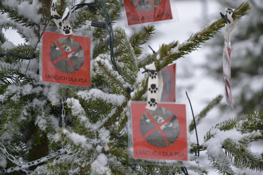Zamiast bombek, stalowe łańcuchy - władze Aleksandrowa Łódzkiego przeciw znęcaniu się nad zwierzętami