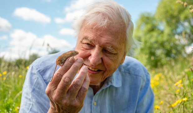 Ser Dejvid Atenboro kaže da je London „grad pun skrivenih prirodnih čuda" | Foto: BBC/Passion Planet