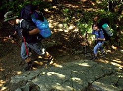 Polska dobrze się sprzedała