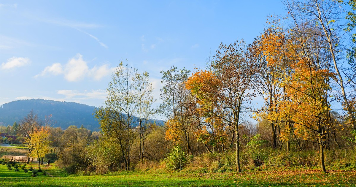 Przyjemny szlak i piękne widoki. To idealny kierunek na jesienny weekend w Beskidach