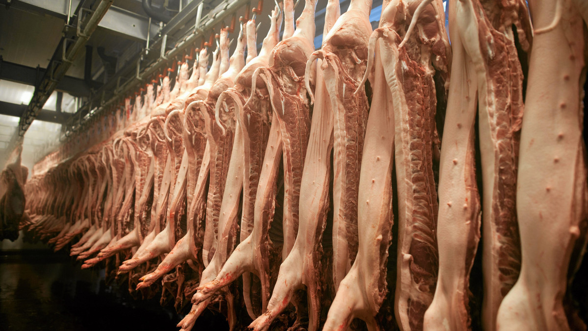 Sąd zaakceptował wniosek Zakładów Mięsnych "Viola" o wszczęcie postępowania naprawczego. Firma z Lniana (Kujawsko-Pomorskie) stara się wrócić na rynek po tym, jak zarzucono jej wykorzystywanie do produkcji przeterminowanych wyrobów i wstrzymano produkcję.