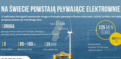 Elektrownia przyszłości będzie unosić się na oceanie