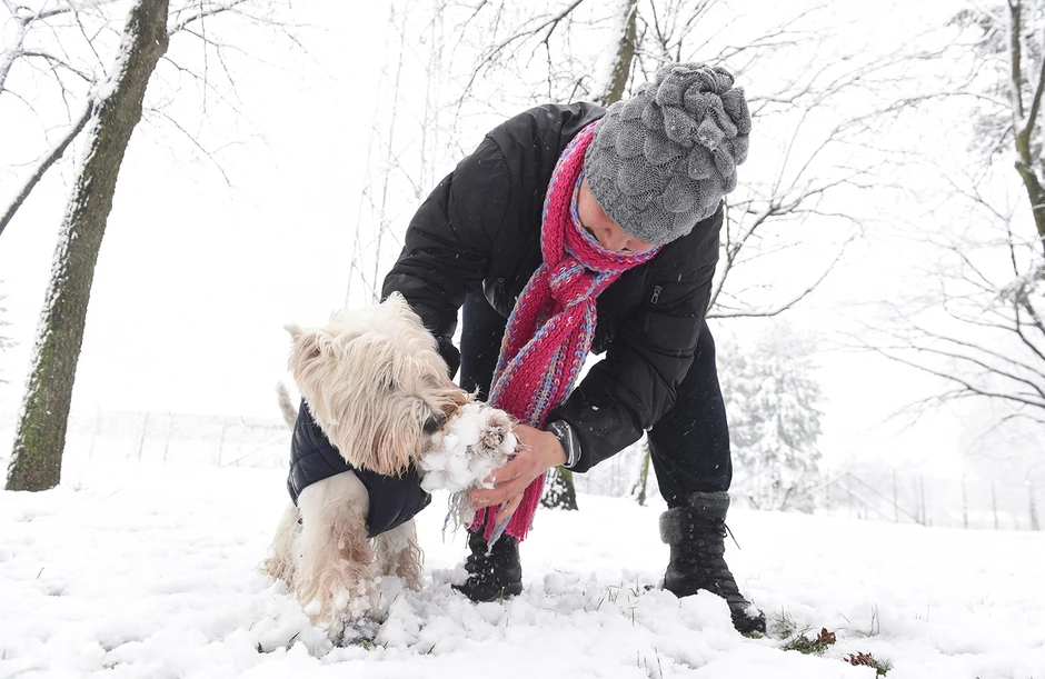 Na vidiku nema novog zahlađenja tokom narednih nedelja, niti će biti sličnih dana u aprilu