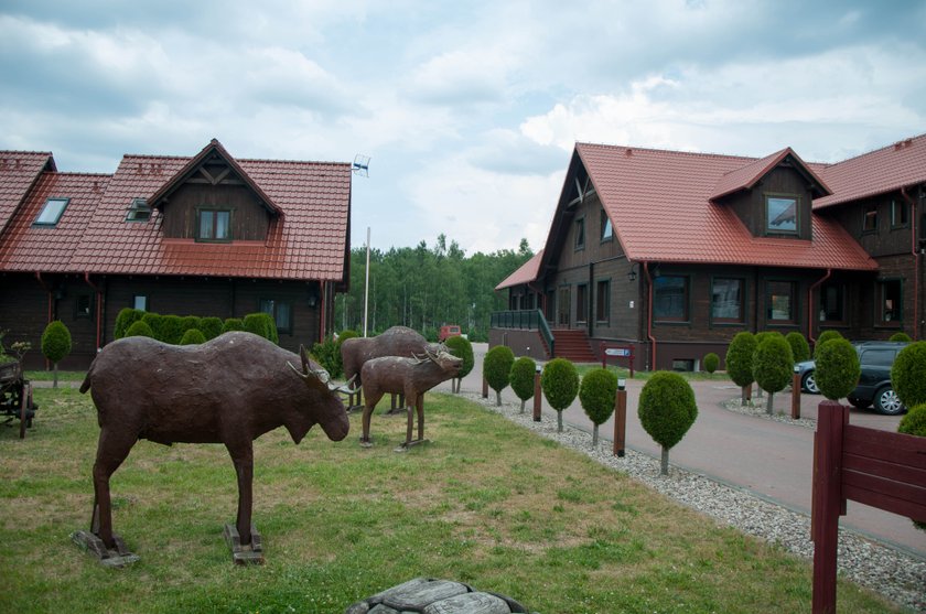 Z Faktem na weekend: Bory Tucholskie