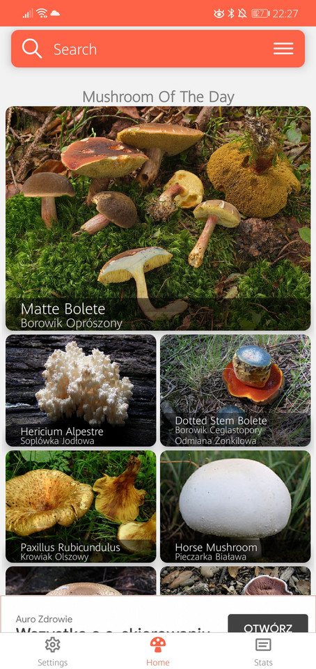 Mushroomology: Atlas grzybów