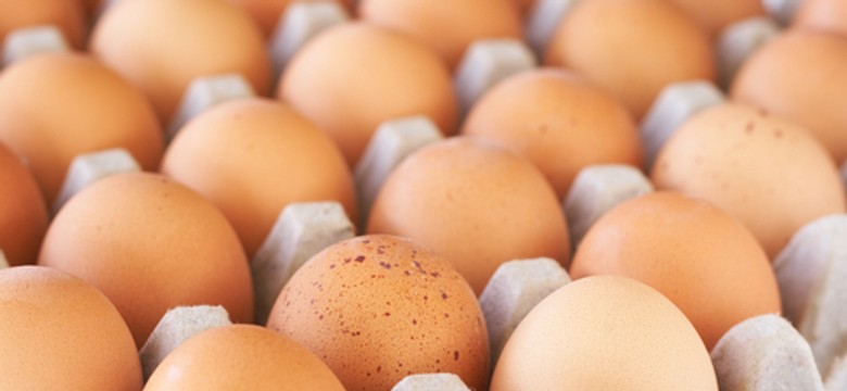 Salmonella na skorupkach jajek. Sanepid ostrzega