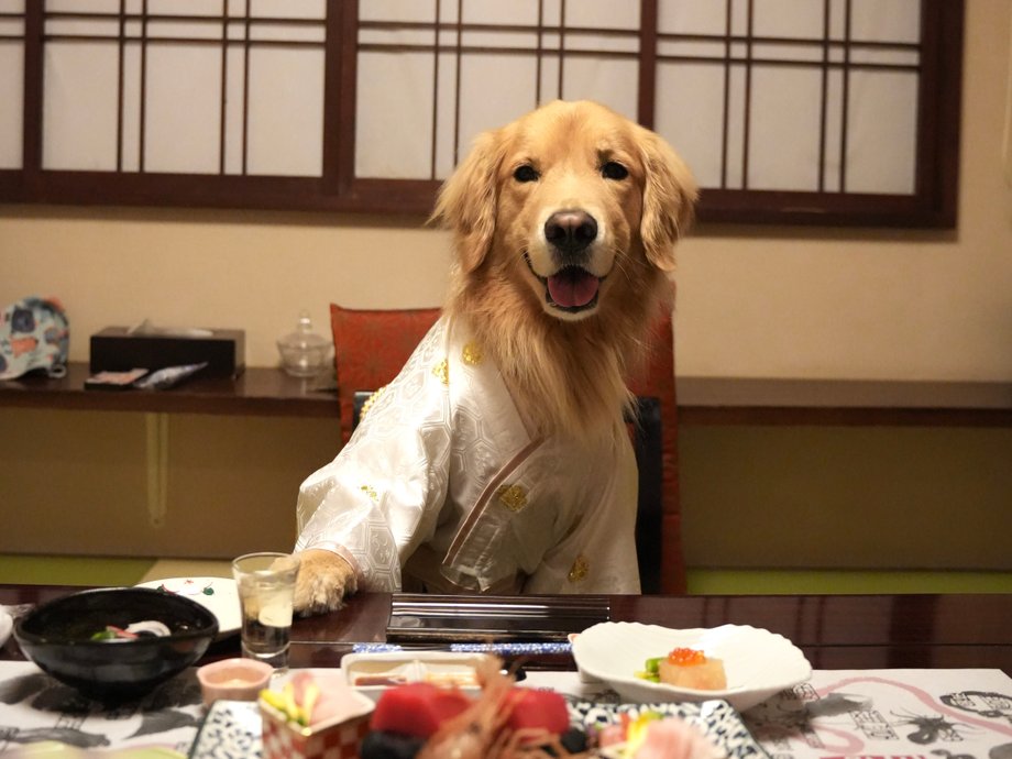 Siu Tim przebrał się w Kioto do sesji zdjęciowej w kimono.