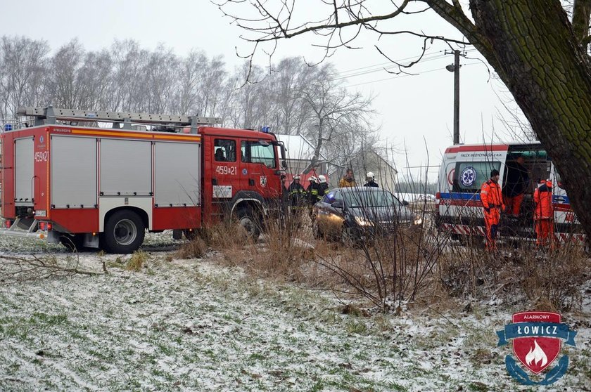 Samochód uderzył w drzewo. Wypadek pod Łowiczem