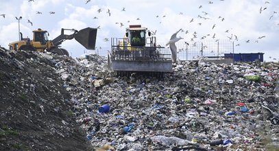 Zwłoki noworodka w sortowni śmieci w Działdowie. Nowe informacje w tej szokującej sprawie