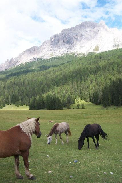 Galeria Włochy - Dolomity - Cortina d'Ampezzo, obrazek 4