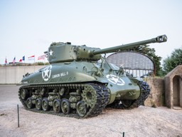 QUIZ. Trudne pytania z HISTORII. 80 proc. osób oblewa ten test