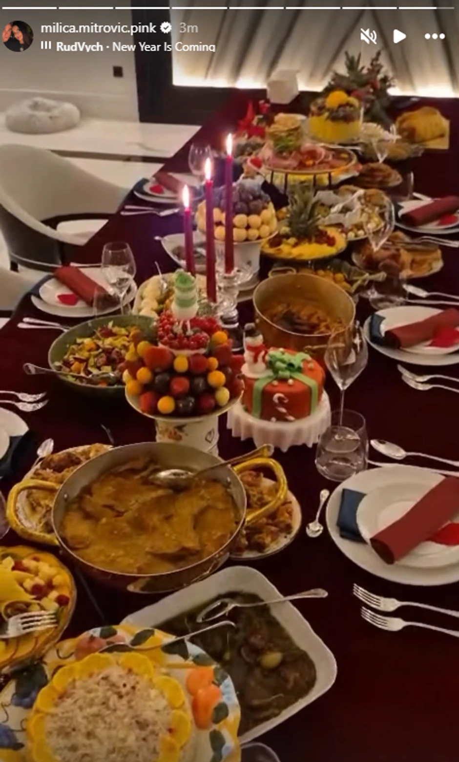 Željko i Milica Mitrović doček Nove godine