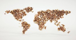 Żyjemy w epoce egalitaryzmu. By to zrozumieć, zapomnijcie o wszystkim co do tej pory słyszeliście o nierównościach