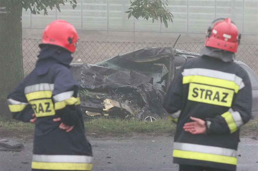 Masakra na drodze pod Toruniem. FOTO