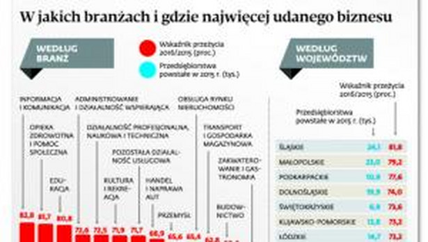 W jakich branżach i gdzie najwięcej udanego biznesu