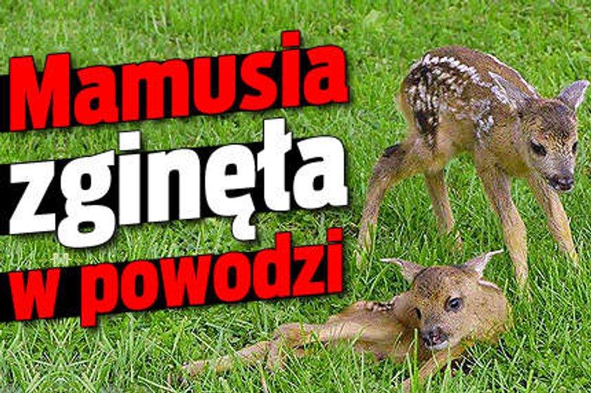 Mamusia zginęła w powodzi