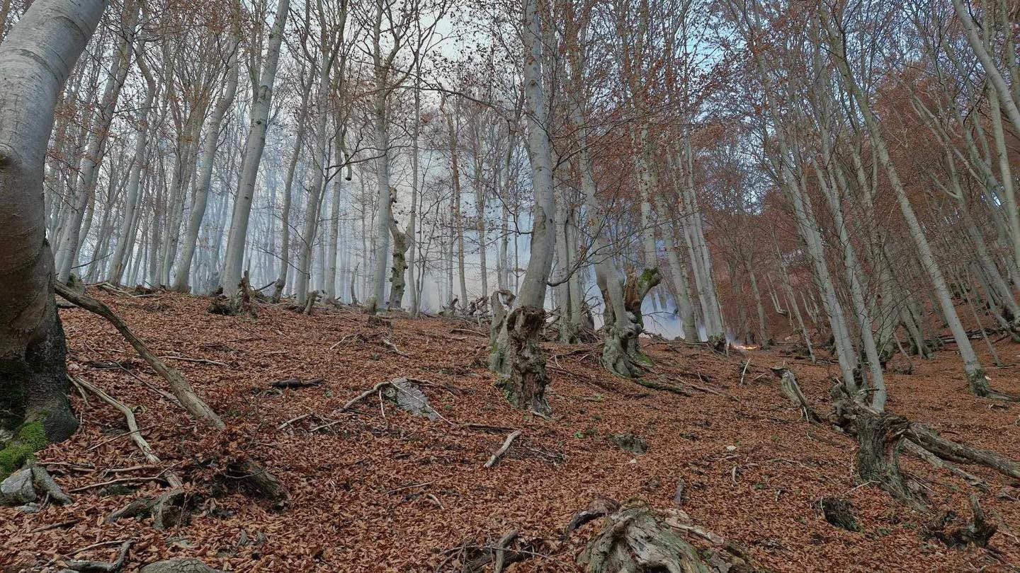 Zásah hasičov pri požiari suchého lístia v lese v obci Valaská Belá.