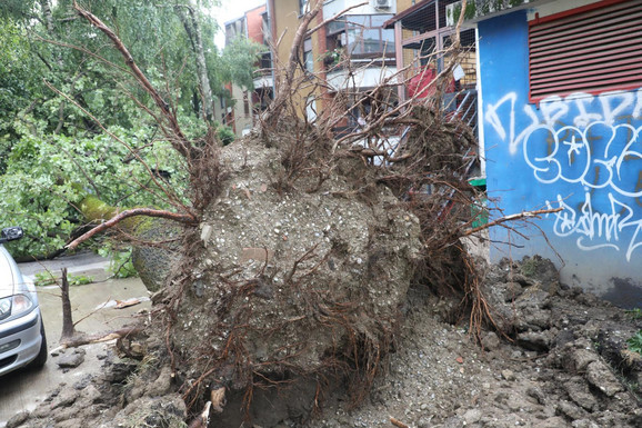 NEVREME KOJE ČUPA DRVEĆE NA PUTU KA SRBIJI! Oluja zahvatila Hrvatsku, meteoalarm na snazi za celu zemlju (FOTO, VIDEO)