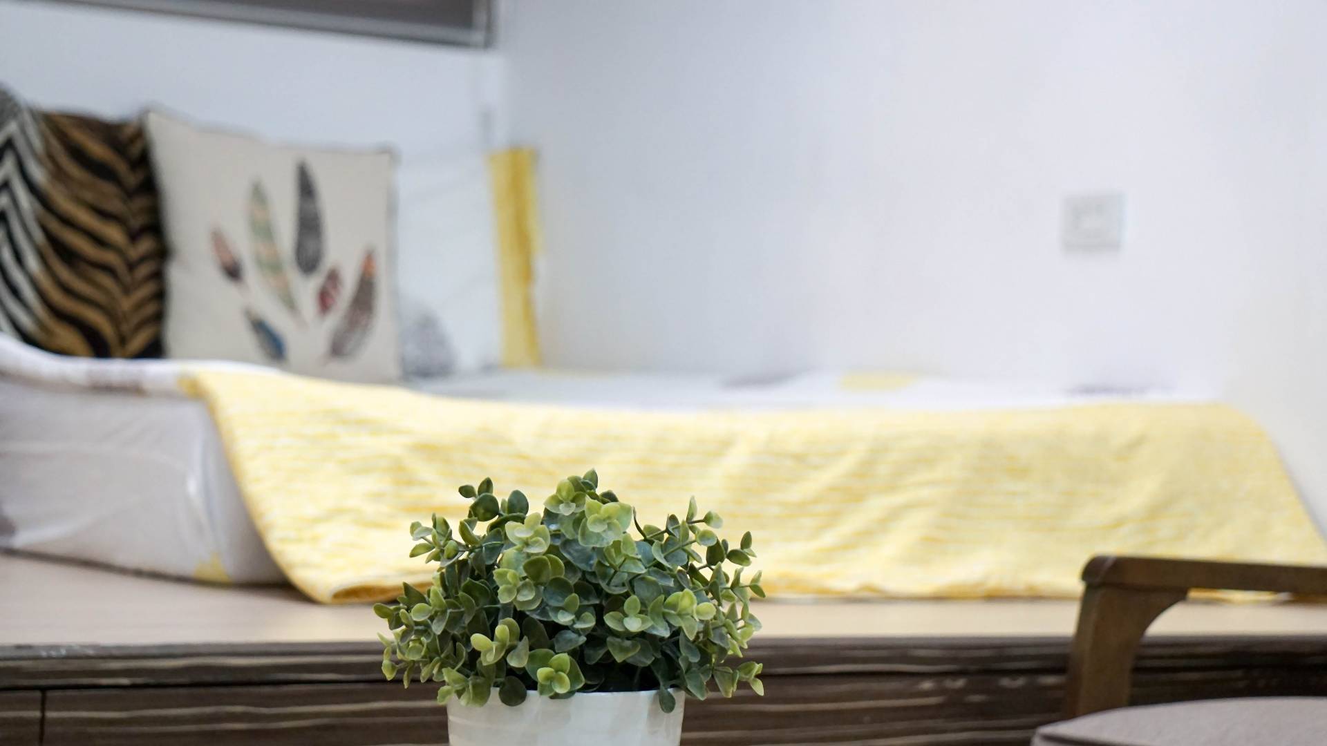 Kwiaty do sypialni, które poprawiają jakość powietrza i usuwają szkodliwe substancje