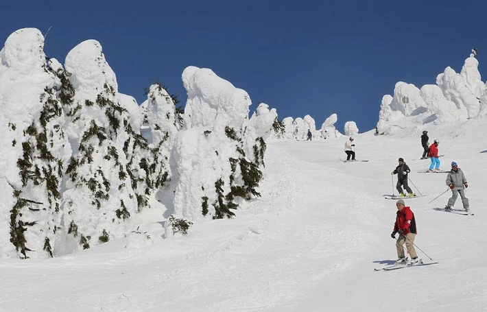 9. Niseko, Japonia