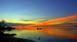 Niszczenie Amazonii odpowiada za miliony przypadków chorób