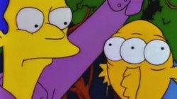 Ryba-mutant z "Simpsonów" istnieje! W Nowym Jorku złowili suma z trojgiem oczu