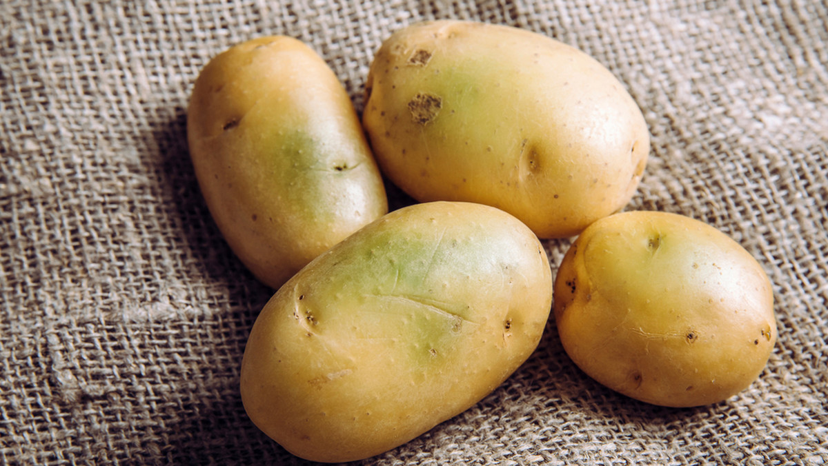 Czy można jeść zielone ziemniaki? Wyjaśniamy