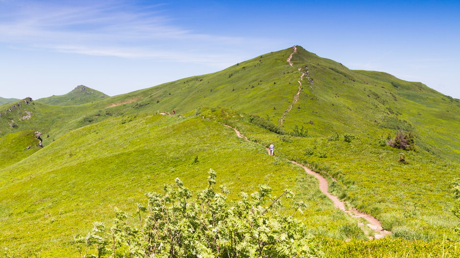 Bieszczady: turyści na szczycie Tarnicy schodzą ze szlaku i zadeptują trawy