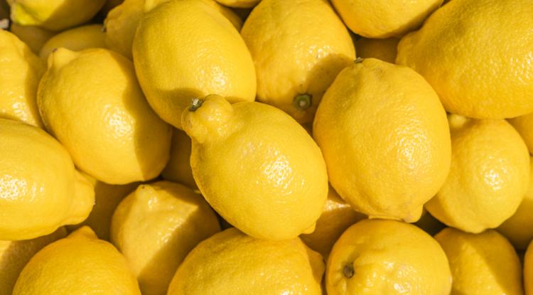 Ezért érdemes citromot fogyasztani. Fotó: Getty Images