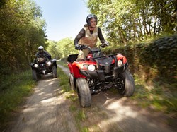 Grizzly 300, czyli nowy niedźwiedź w twoim garażu