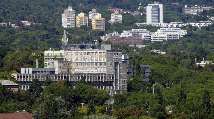 A Semmelweiss Egyetem Kútvölgyi Klinikai Tömbje / Fotó: MTI - Jászai Csaba