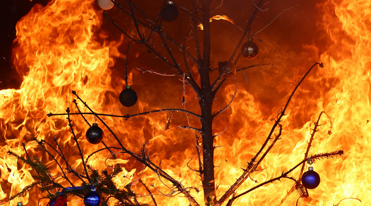 Berlinben évente bemutatják, hogy milyen, mikor egy karácsonyfa lángra kap / Fotó: MTI EPA FILIP SINGER