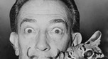 Salvador Dali i jego ocelot Babou