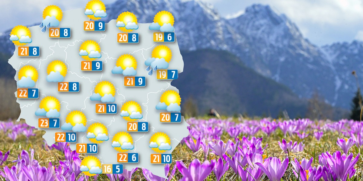 Wysypały się krokusy, za chwilę posypią się dwucyfrowe temperatury. 