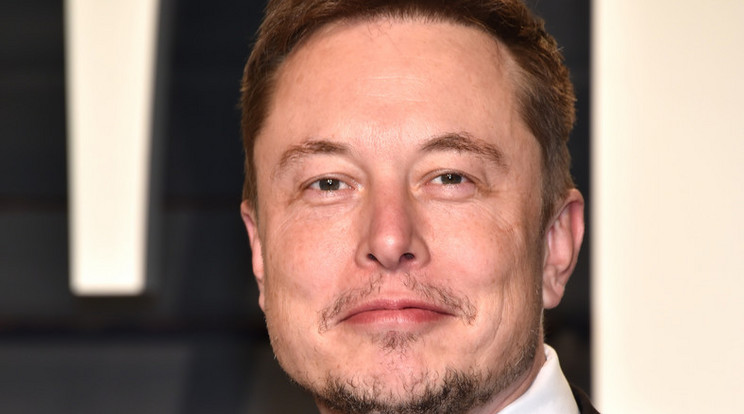 Elon Musk/Fotó:GettyImages