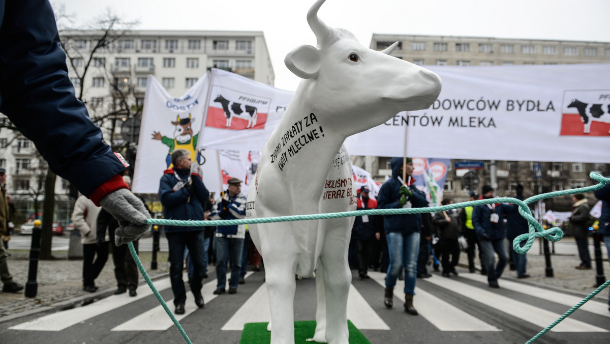 Ok. 3 tys. producentów mleka z kraju demonstrowało w czwartek przed gmachem ministerstwa rolnictwa w Warszawie. W ten sposób wyrazili swoje niezadowolenie z powodu spadku cen skupu mleka. Delegację protestujących przyjął minister rolnictwa Marek Sawicki.