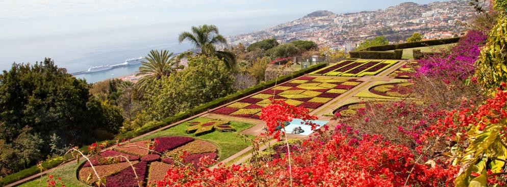 Madera – tygodniowy pobyt na tej portugalskiej wyspie położonej na Atlantyku jest możliwy już za 2379 złotych. W takiej cenie znajdziesz zakwaterowanie w 3-gwiazdkowym hotelu bez wyżywienia. Pobyt w innym 3* hotelu wraz ze śniadaniem wliczonym w cenę jest dostępny za 2649 złotych. (Ceny dla wylotów z Warszawy w dniu 29. marca)
