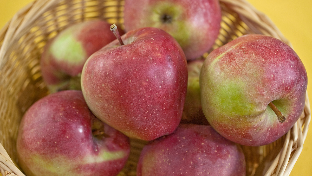 Czeska Państwowa Inspekcja Rolna i Żywnościowa (SZPI) poinformowała dziś o wykryciu pestycydów w jabłkach importowanych z Polski. Chodzi o jabłka odmiany Gloster oferowane w sklepie Makro Cash&amp;Carry w Ołomuńcu na Morawach.