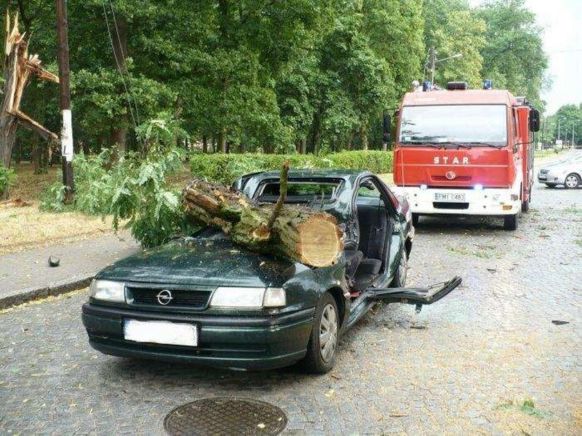 Drzewo zwaliło się na auto. Matka z dzieckiem przeżyli!